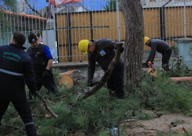 OSMANGAZİ BELEDİYESİ’NDEN LODOSA KARŞI ETKİN MÜDAHALE